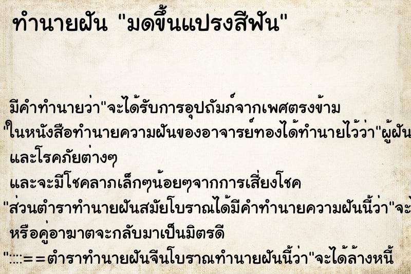 ทำนายฝัน มดขึ้นแปรงสีฟัน ทำนายฝัน มดขึ้นแปรงสีฟัน