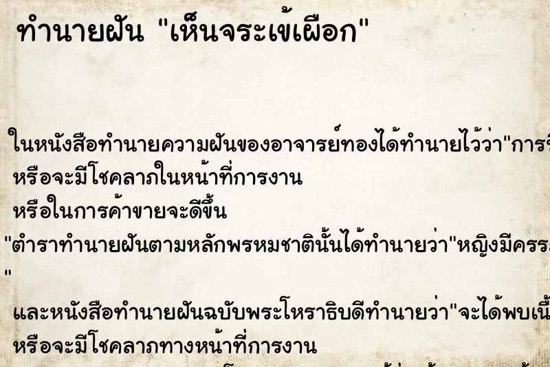 ทำนายฝัน เห็นจระเข้เผือก