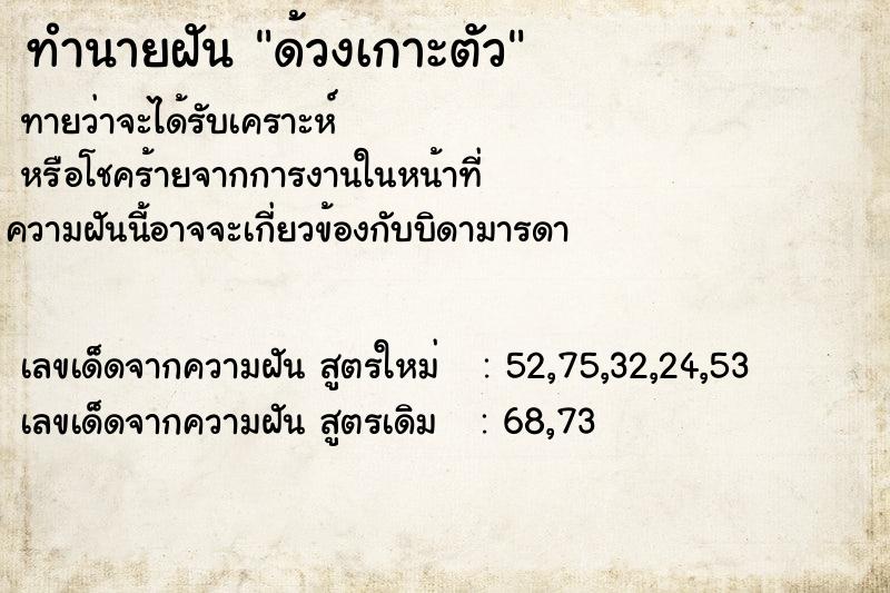 ทำนายฝัน ด้วงเกาะตัว ทำนายฝัน ด้วงเกาะตัว