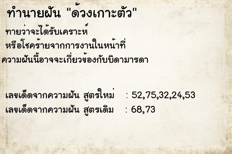 ทำนายฝัน ด้วงเกาะตัว ตำราโบราณ แม่นที่สุดในโลก