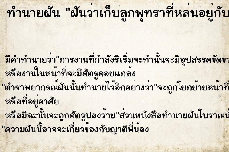 ทำนายฝันฝันว่าเก็บลูกพุทราทีี่หล่นอยู่กับพื้น ทำนายฝันทำนายฝันฝันว่าเก็บลูกพุทราทีี่หล่นอยู่กับพื้น