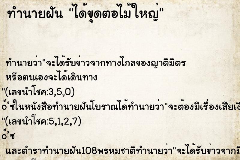ทำนายฝัน ได้ขุดตอไม้ใหญ่