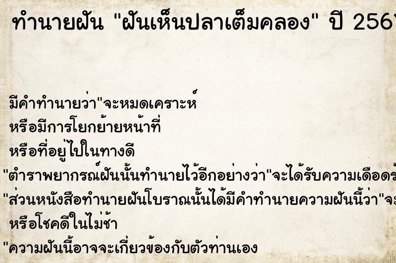 ทำนายฝันฝันเห็นปลาเต็มคลอง ทำนายฝันทำนายฝันฝันเห็นปลาเต็มคลอง