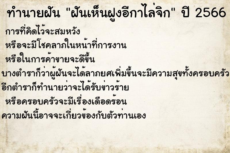 ทำนายฝันทำนายฝันฝันเห็นฝูงอีกาไล่จิก