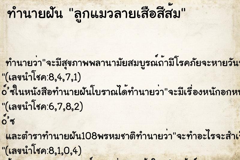 ทำนายฝัน ลูกแมวลายเสือสีส้ม ตำราโบราณ แม่นที่สุดในโลก