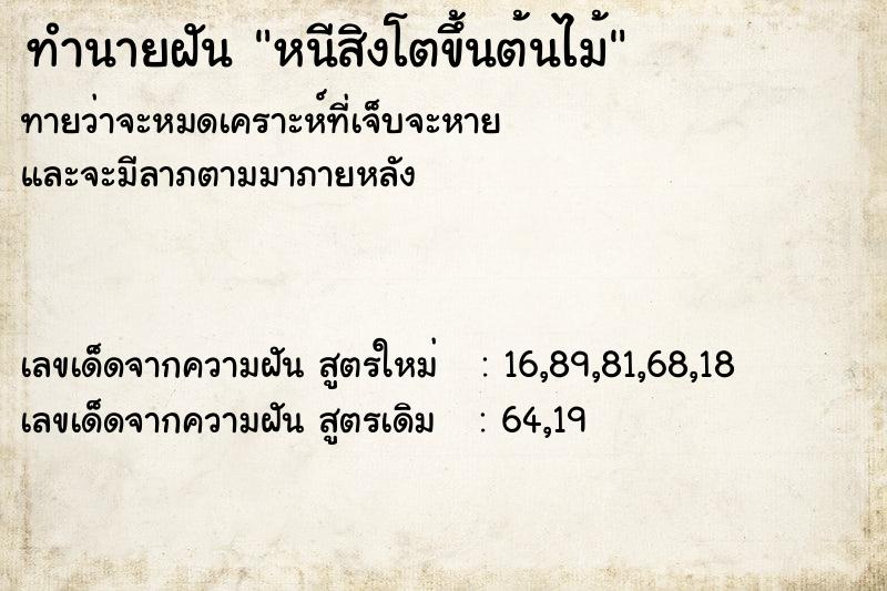 ทำนายฝันหนีสิงโตขึ้นต้นไม้ ทำนายฝันทำนายฝันหนีสิงโตขึ้นต้นไม้