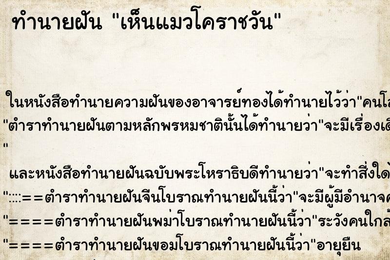 ทำนายฝันทำนายฝันเห็นแมวโคราชวัน