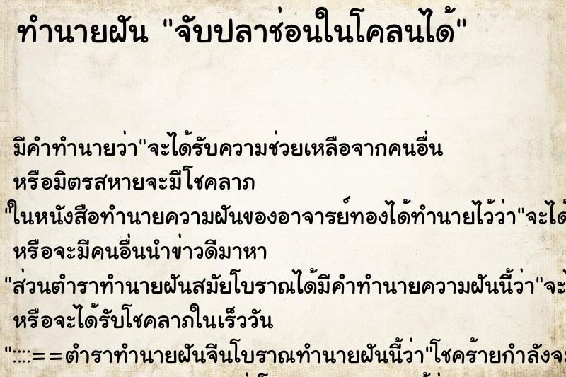 ทำนายฝัน จับปลาช่อนในโคลนได้ ทำนายฝัน จับปลาช่อนในโคลนได้