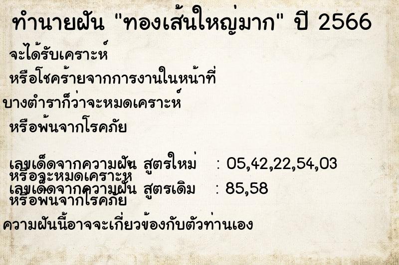ทำนายฝัน ทองเส้นใหญ่มาก