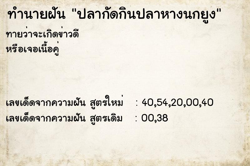 ทำนายฝัน ปลากัดกินปลาหางนกยูง ทำนายฝัน ปลากัดกินปลาหางนกยูง