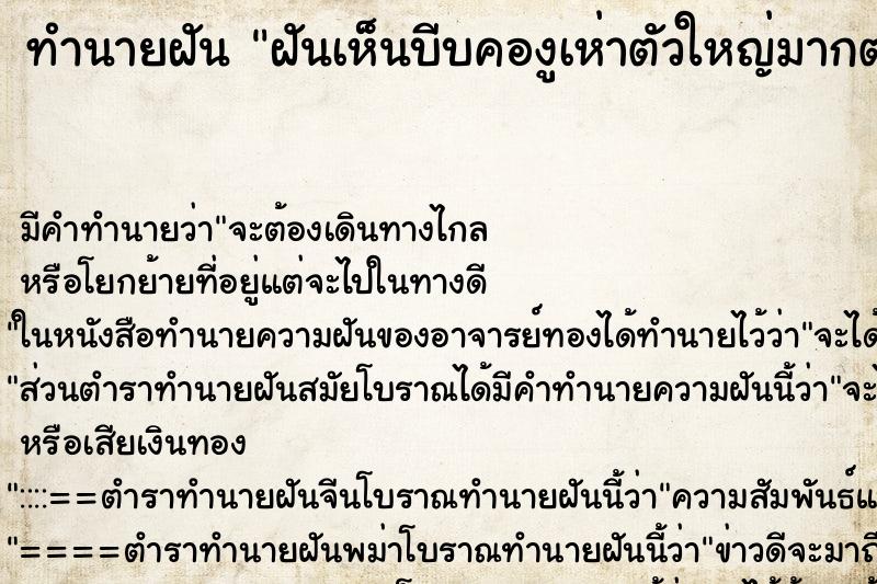 ทำนายฝันทำนายฝันฝันเห็นบีบคองูเห่าตัวใหญ่มากตาย