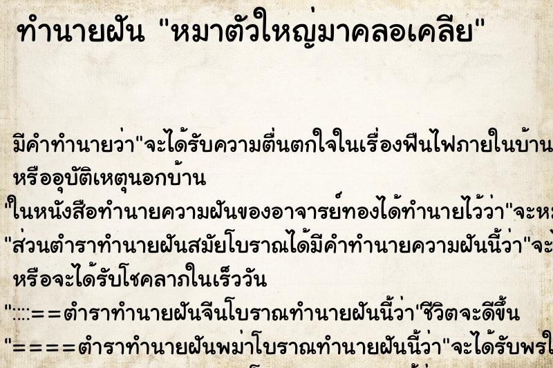 ทำนายฝัน หมาตัวใหญ่มาคลอเคลีย ทำนายฝัน หมาตัวใหญ่มาคลอเคลีย