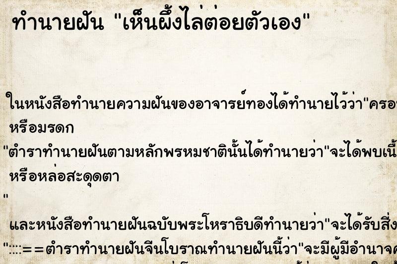 ทำนายฝันเห็นผึ้งไล่ต่อยตัวเอง ทำนายฝันทำนายฝันเห็นผึ้งไล่ต่อยตัวเอง