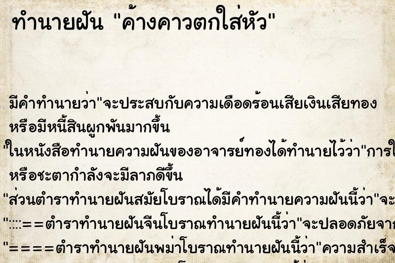 ทำนายฝัน ค้างคาวตกใส่หัว ทำนายฝัน ค้างคาวตกใส่หัว
