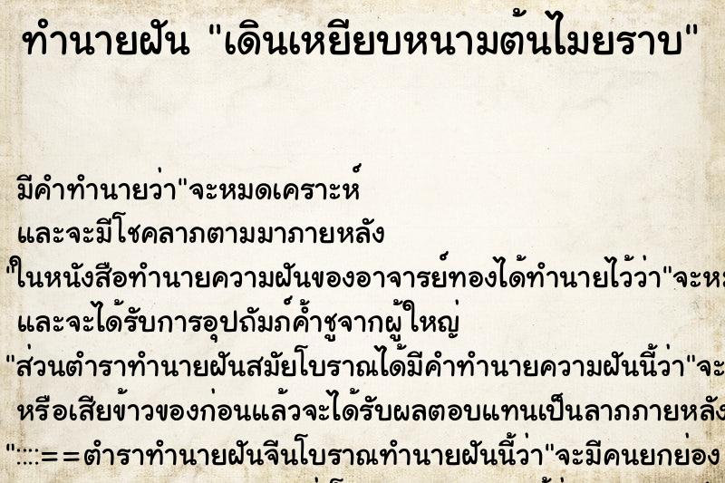 ทำนายฝัน เดินเหยียบหนามต้นไมยราบ ตำราโบราณ แม่นที่สุดในโลก