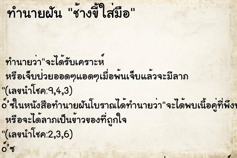ทำนายฝัน ช้างขี้ใส่มือ ทำนายฝัน ช้างขี้ใส่มือ