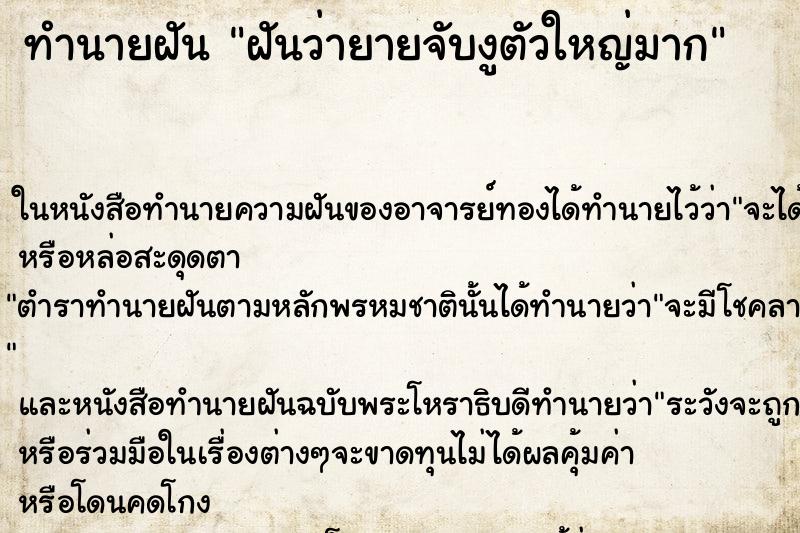 ทำนายฝันทำนายฝันฝันว่ายายจับงูตัวใหญ่มาก