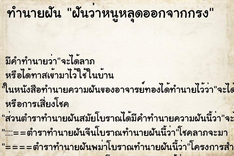 ทำนายฝันฝันว่าหนูหลุดออกจากกรง ทำนายฝันทำนายฝันฝันว่าหนูหลุดออกจากกรง