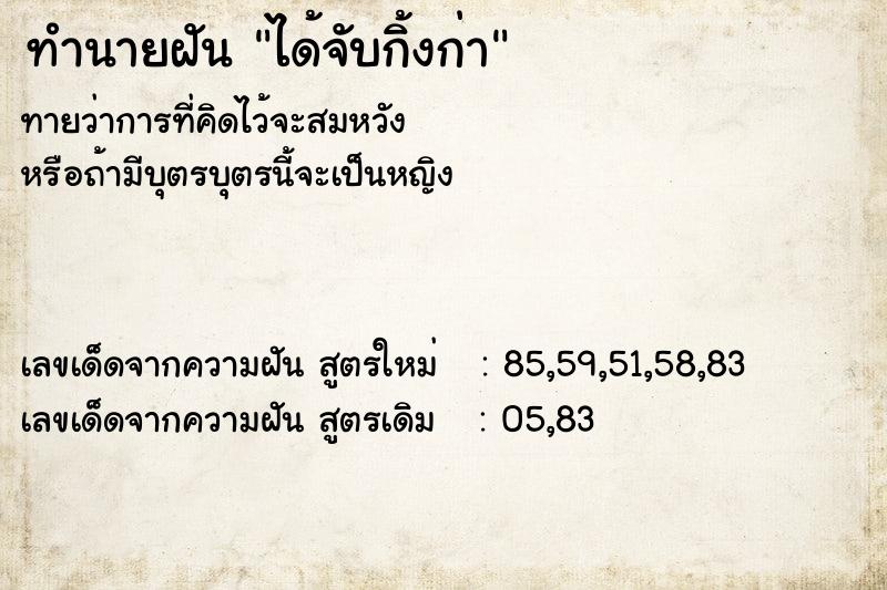 ทำนายฝันได้จับกิ้งก่า ทำนายฝันทำนายฝันได้จับกิ้งก่า