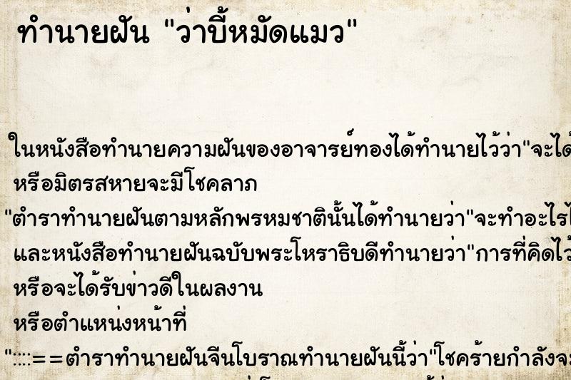 ทำนายฝันทำนายฝันว่าบี้หมัดแมว