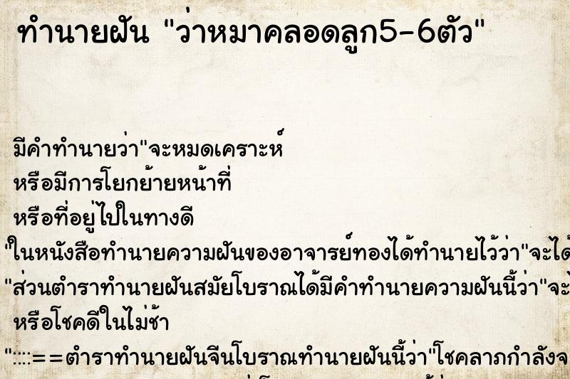 ทำนายฝัน ว่าหมาคลอดลูก5-6ตัว