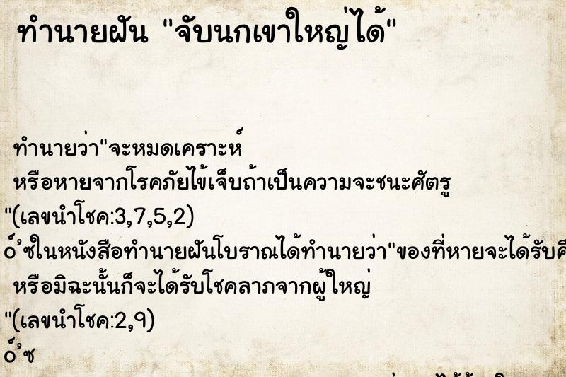 ทำนายฝัน จับนกเขาใหญ่ได้