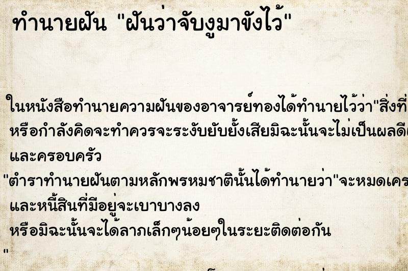 ทำนายฝันฝันว่าจับงูมาขังไว้ ทำนายฝันทำนายฝันฝันว่าจับงูมาขังไว้