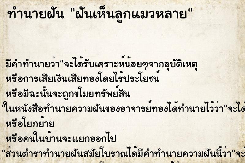 ทำนายฝันฝันเห็นลูกแมวหลาย ทำนายฝันทำนายฝันฝันเห็นลูกแมวหลาย