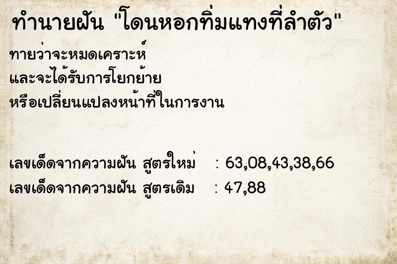 ทำนายฝันโดนหอกทิ่มแทงที่ลำตัว ทำนายฝันทำนายฝันโดนหอกทิ่มแทงที่ลำตัว