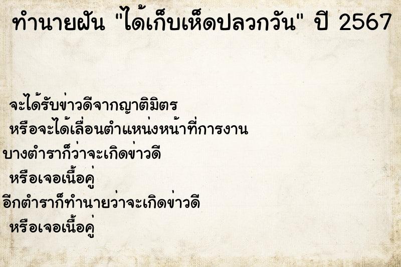 ทำนายฝัน ได้เก็บเห็ดปลวกวัน ทำนายฝัน ได้เก็บเห็ดปลวกวัน
