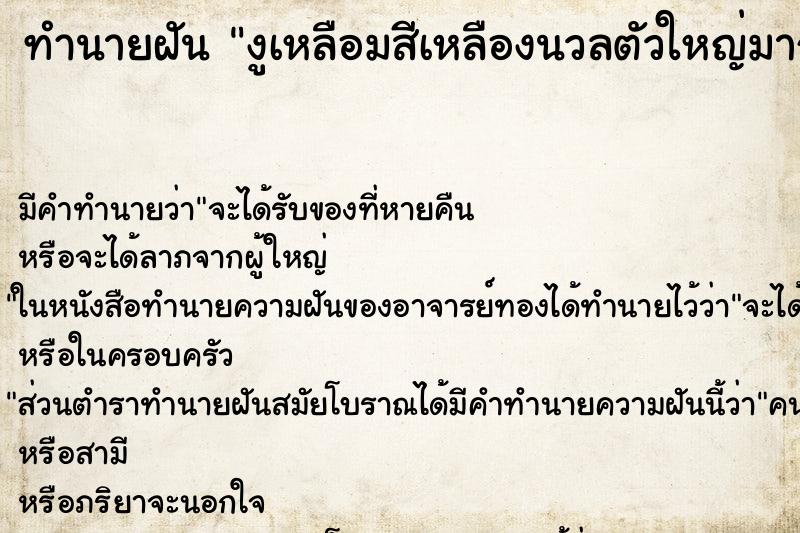ทำนายฝัน งูเหลือมสีเหลืองนวลตัวใหญ่มาก ทำนายฝัน งูเหลือมสีเหลืองนวลตัวใหญ่มาก