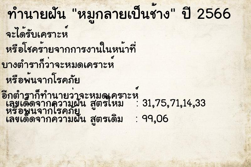 ทำนายฝันหมูกลายเป็นช้าง ทำนายฝันทำนายฝันหมูกลายเป็นช้าง