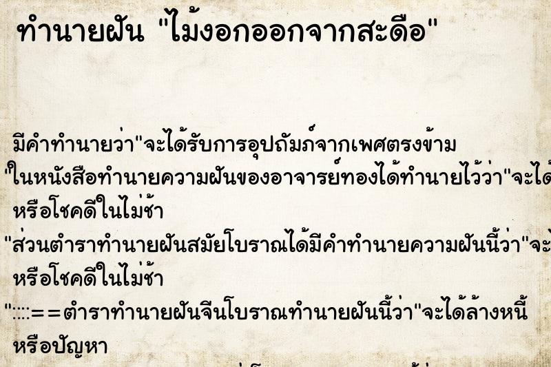 ทำนายฝันทำนายฝันไม้งอกออกจากสะดือ