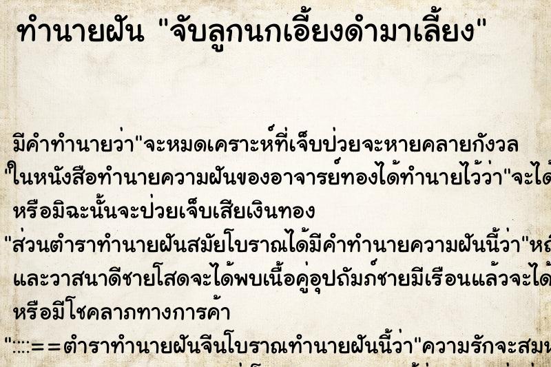 ทำนายฝัน จับลูกนกเอี้ยงดำมาเลี้ยง ทำนายฝัน จับลูกนกเอี้ยงดำมาเลี้ยง