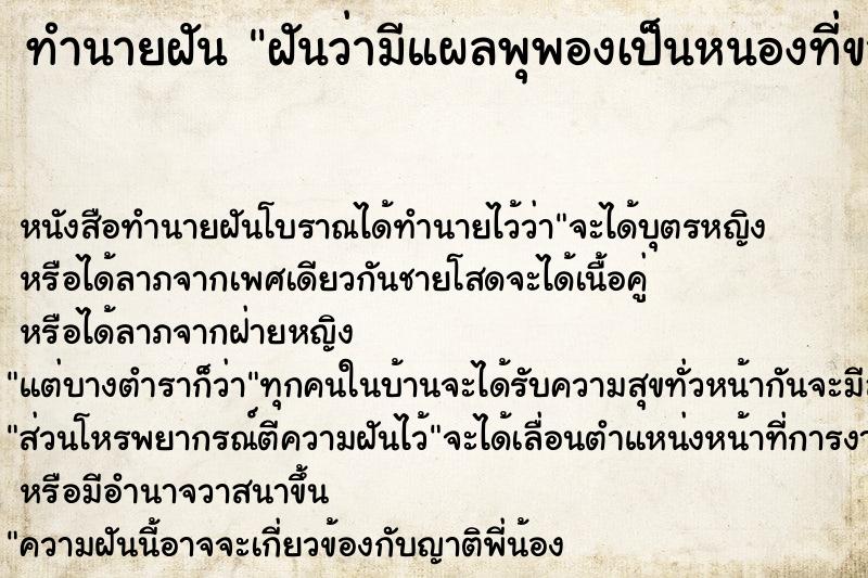ทำนายฝันฝันว่ามีแผลพุพองเป็นหนองที่ขา ทำนายฝันทำนายฝันฝันว่ามีแผลพุพองเป็นหนองที่ขา