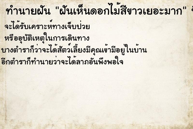 ทำนายฝันฝันเห็นดอกไม้สีขาวเยอะมาก ทำนายฝันทำนายฝันฝันเห็นดอกไม้สีขาวเยอะมาก