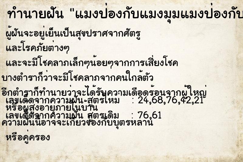 ทำนายฝัน แมงป่องกับแมงมุมแมงป่องกับแมงมุม ทำนายฝัน แมงป่องกับแมงมุมแมงป่องกับแมงมุม