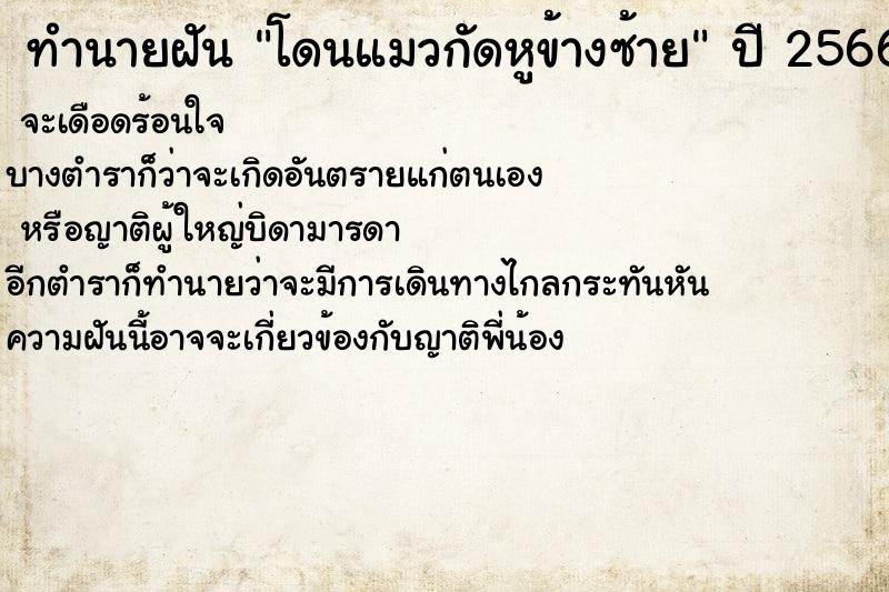 ทำนายฝันโดนแมวกัดหูข้างซ้าย ทำนายฝันทำนายฝันโดนแมวกัดหูข้างซ้าย