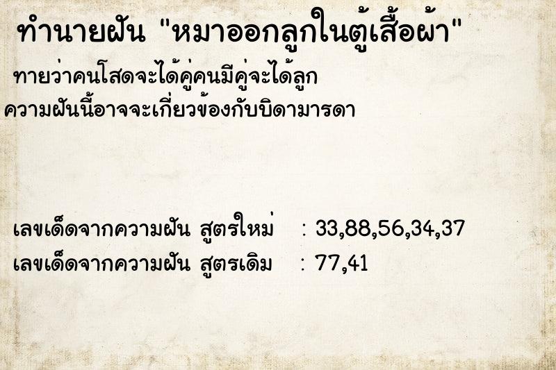 ทำนายฝันหมาออกลูกในตู้เสื้อผ้า ทำนายฝันทำนายฝันหมาออกลูกในตู้เสื้อผ้า