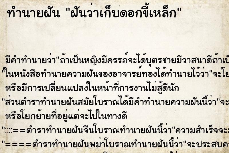 ทำนายฝันฝันว่าเก็บดอกขี้เหล็ก ทำนายฝันทำนายฝันฝันว่าเก็บดอกขี้เหล็ก