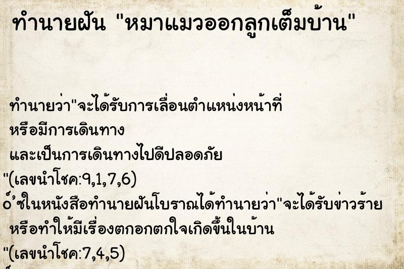 ทำนายฝัน หมาแมวออกลูกเต็มบ้าน ทำนายฝัน หมาแมวออกลูกเต็มบ้าน