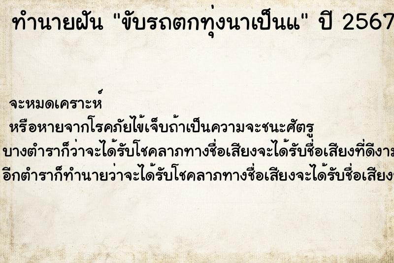 ทำนายฝัน ขับรถตกทุ่งนาเป็นแ ทำนายฝัน ขับรถตกทุ่งนาเป็นแ