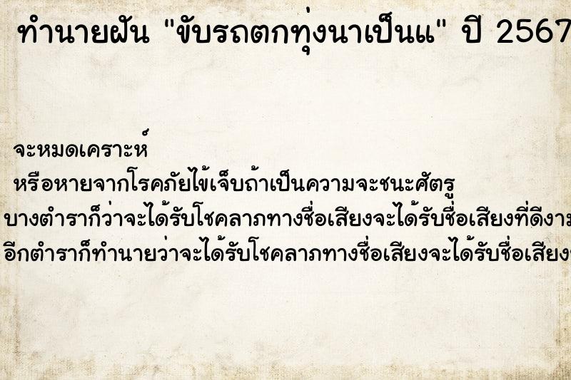 ทำนายฝัน ขับรถตกทุ่งนาเป็นแ ตำราโบราณ แม่นที่สุดในโลก