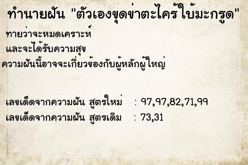 ทำนายฝันตัวเองขุดข่าตะไคร้ใบ้มะกรูด ทำนายฝันทำนายฝันตัวเองขุดข่าตะไคร้ใบ้มะกรูด