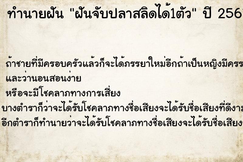 ทำนายฝันฝันจับปลาสลิดได้1ตัว ทำนายฝันทำนายฝันฝันจับปลาสลิดได้1ตัว