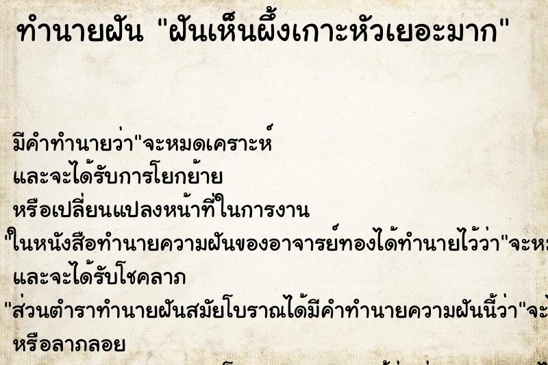ทำนายฝัน ฝันเห็นผึ้งเกาะหัวเยอะมาก ทำนายฝัน ฝันเห็นผึ้งเกาะหัวเยอะมาก