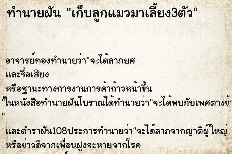 ทำนายฝันทำนายฝันเก็บลูกแมวมาเลี้ยง3ตัว