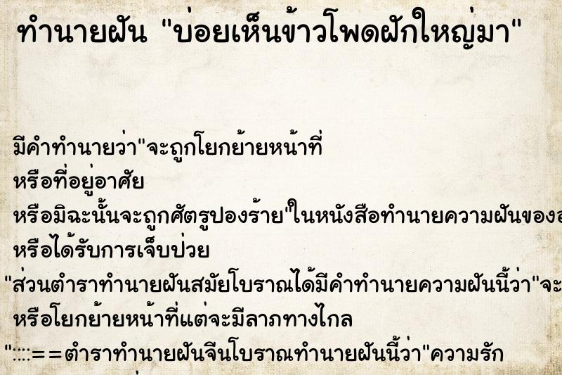 ทำนายฝัน บ่อยเห็นข้าวโพดฝักใหญ่มา ทำนายฝัน บ่อยเห็นข้าวโพดฝักใหญ่มา