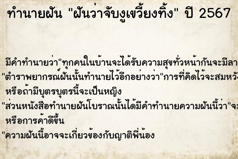 ทำนายฝัน ฝันว่าจับงูเขวี้ยงทิ้ง ตำราโบราณ แม่นที่สุดในโลก