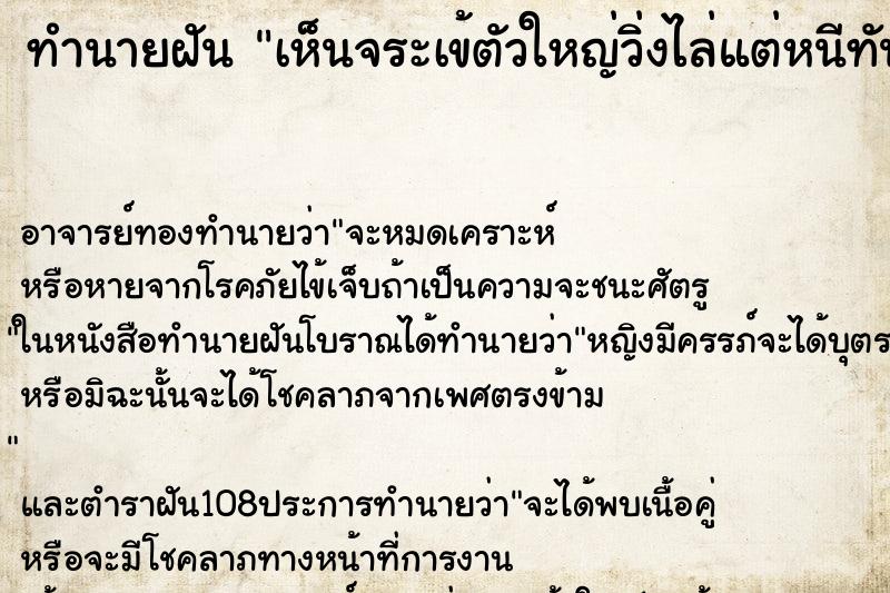 ทำนายฝัน เห็นจระเข้ตัวใหญ่วิ่งไล่แต่หนีทัน ตำราโบราณ แม่นที่สุดในโลก